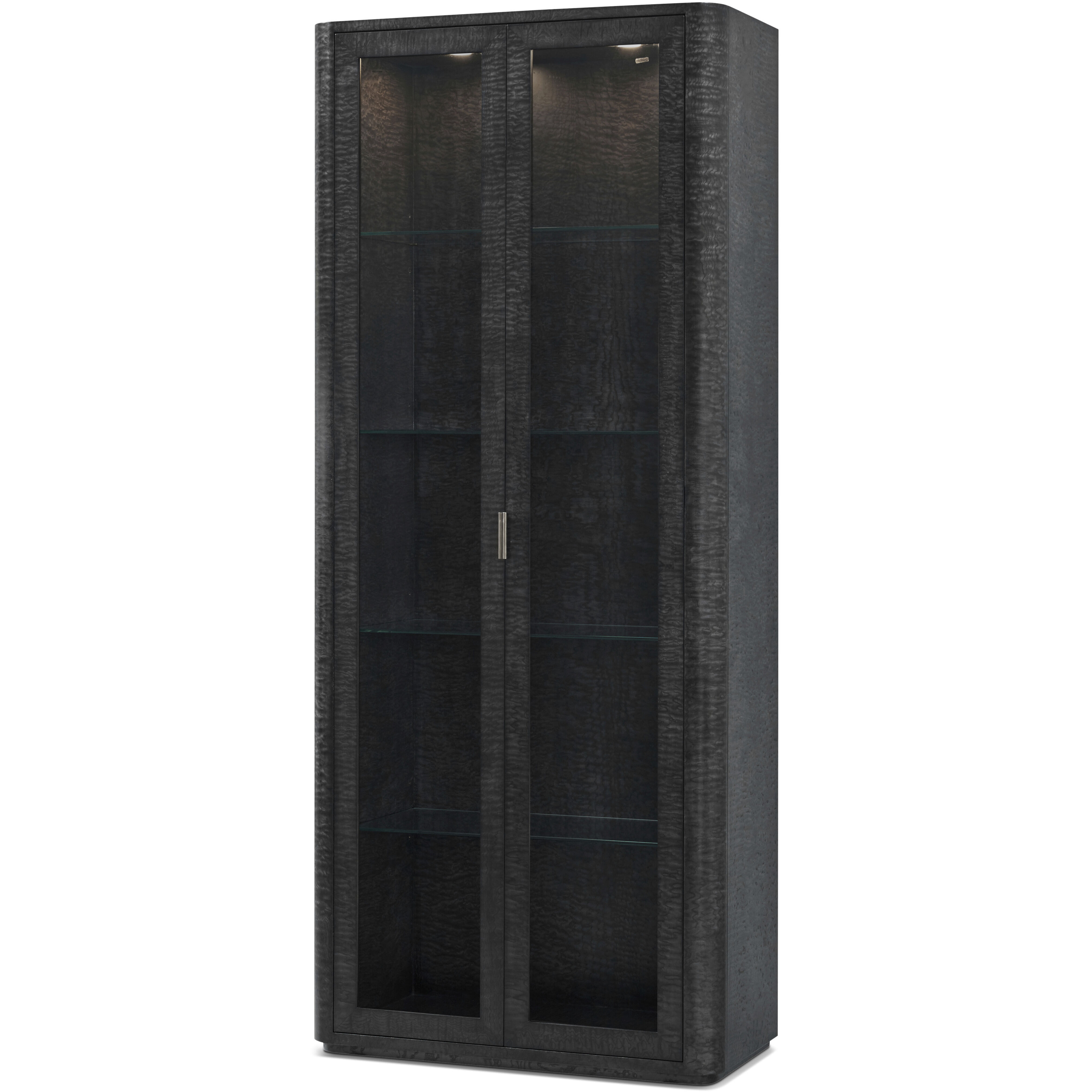 Kesden Silent Black Curio Cabinet, Wooden with Glass